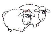 sheep.gif